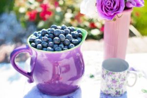 blueberries-clinicamartimaset